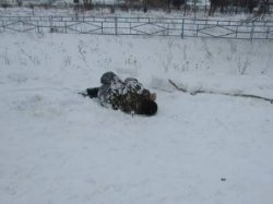 Загадочная смерть на Полтавщине: на обочине дороге обнаружен мертвец