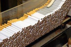 В Польше отпущены практически все украинцы, работавшие на подпольной табачной фабрике