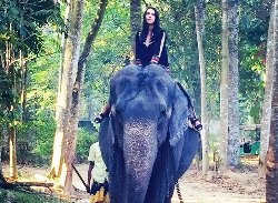 Как Джамала прокатилась в Шри-Ланке на слонах