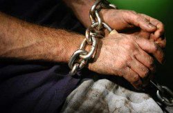 Житомирская область: цыгане удерживали двух мужчин в рабстве