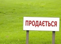 Правительство выставит на продажу 1 млн га земли