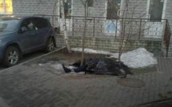 В Киеве молодой парень выпрыгнул из окна многоэтажки