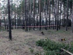 Харьковщина: в лесополосе обнаружен труп молодой женщины