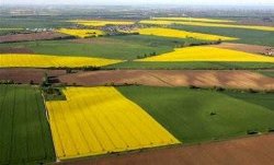 С 2017 года в Украине разрешат торговать землей