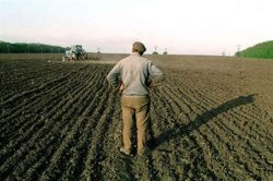 В Украине проведут переоценку сельскохозяйственных земель