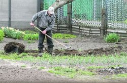 Из-за кризиса украинцы ринулись арендовать огороды для бизнеса и экономии на еде
