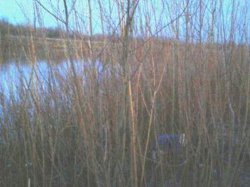 На Ровенщине возле реки найдена мертвой женщина-инвалид