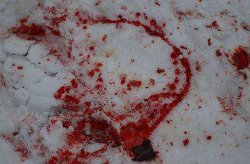 В центре Одессы обнаружен труп мужчины, истекший кровью