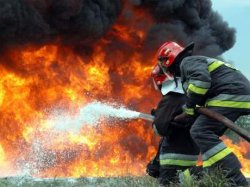 Во время пожара на Житомирщине погибла пенсионерка