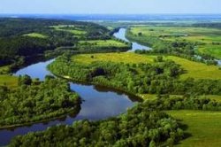 В «Киевводоканале» подозревают, что вода в Десне отравлена