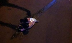 ДТП на Волыни: пьяный лихач сбил девушку на «зебре»