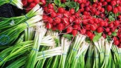 В Украине резко дешевеют овощи