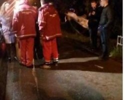 Во Львове перевернулся автомобиль с беременной женщиной