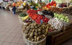 Украина на треть увеличила экспорт продуктов в ЕС