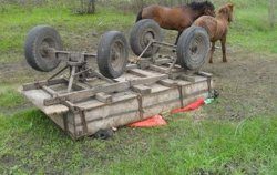 ЧП на Сумщине: гужевая повозка задавила двух человек