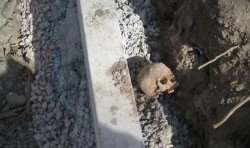 Тернополь: в центре города обнаружены останки человека