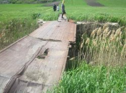 Одесчина: под мостом обнаружен изувеченный труп мужчины