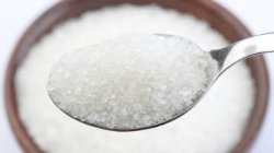 Украина сократила экспорт сахара