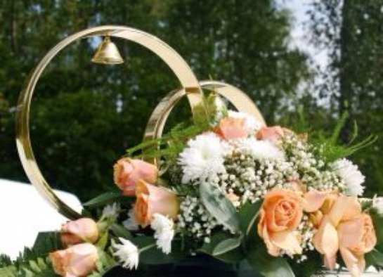 Загородный комплекс «Царёвка» -  проведение свадьбы в Киеве по демократичным ценам