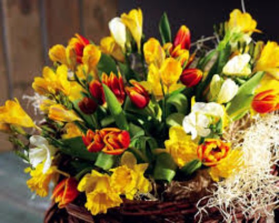Доставка цветов в Харькове – дарите букеты и получайте эмоции