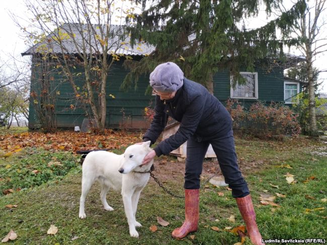 В российских деревнях хозяйничают волки