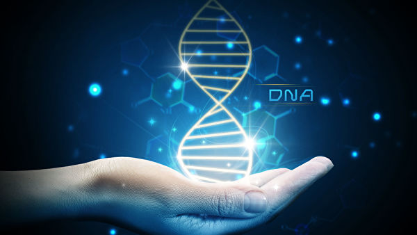 Проведение точного ДНК теста по доступной цене