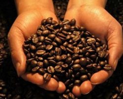 Геополитика кофейных зерен: исторический взгляд