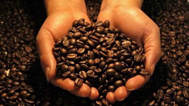 Геополитика кофейных зерен: исторический взгляд